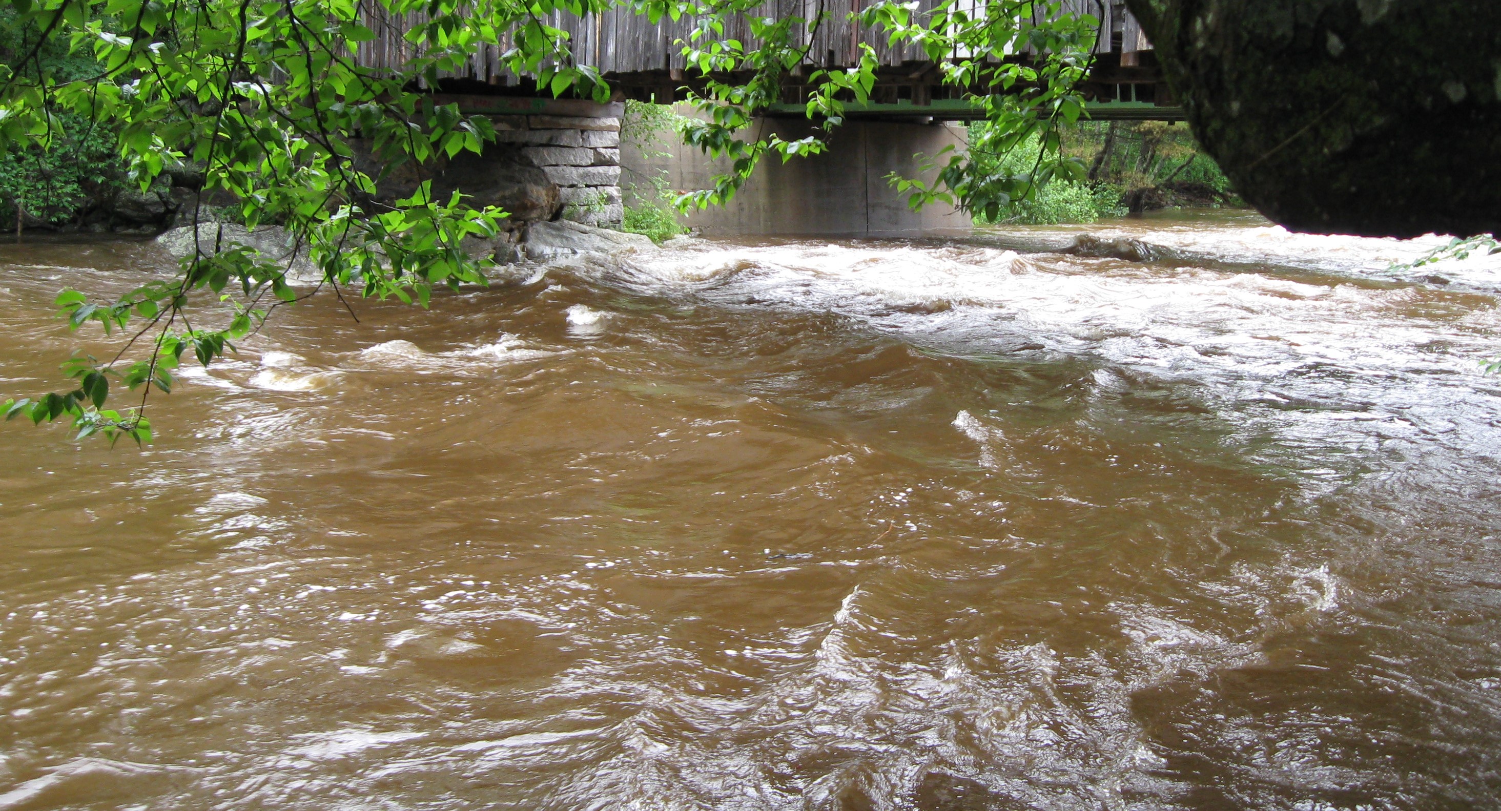 Какая вода жесткая речная или дождевая почему. Река Илистая. В течении реки образовался бурный поток. Можно ли на речку после дождя. Что за рыбы после дождя.