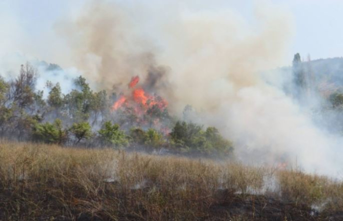 Пет пожари на отворено во регионите на Скопје, Охрид и Неготино