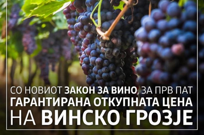 МЗШВ: Лозарите добиваат гарантирана откупна цена на винското грозје