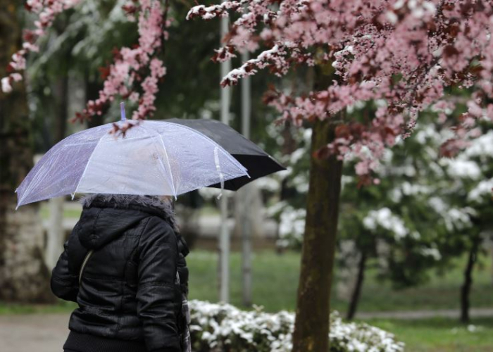 Најмногу дожд наврнал во Крива Паланка, најстудено утрово во Крушево
