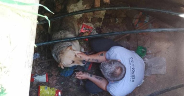 ЦУК: Куче паднало во шахта и ги изгризало оптичките кабли, без интернет биле „Филип Втори“ и Поликлиника „Букурешт“