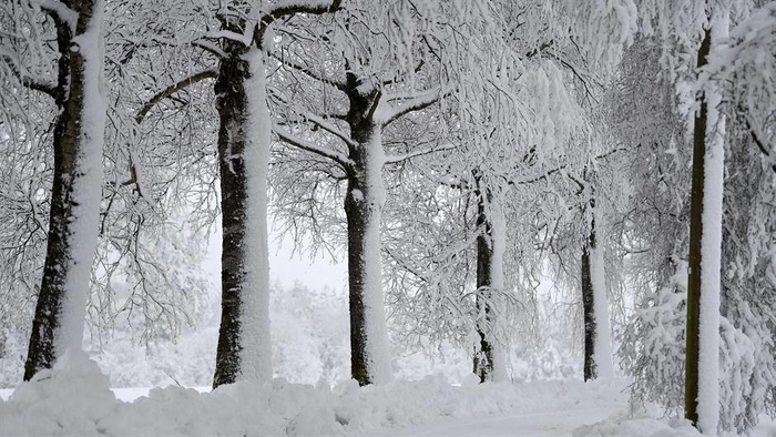 Обилен снег и силен студ ќе зафати делови од Европа во наредните денови