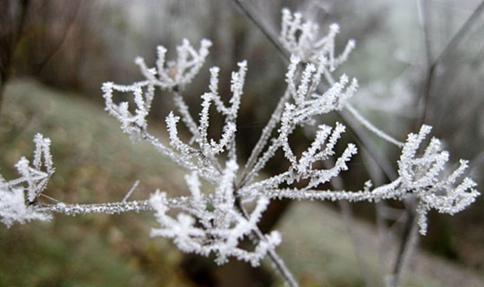 Студено утро, најниска температура измерена во Берово