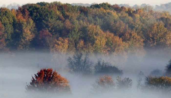 Препладне магла по котлините, попладне сончево