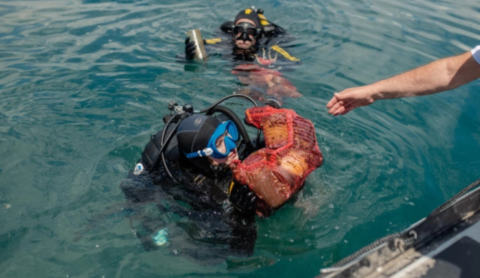 „Нов живот за езерото“ - еко акција за чистење на дното на Охридското Езеро во Радожда