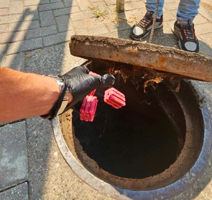 Вонредна дератизација на критични локации во Центар