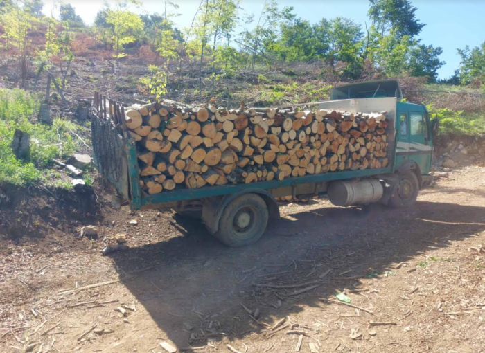 Кривична пријава против осум лица од Виница и виничко за кривични дела во врска со бесправна сеча и транспорт на огревно дрво