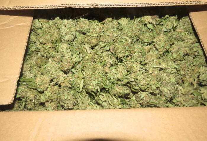 Мицкоски за детали за истрагата за марихуаната упатува на МВР, но вели има поврзаност со лица од претходната влада