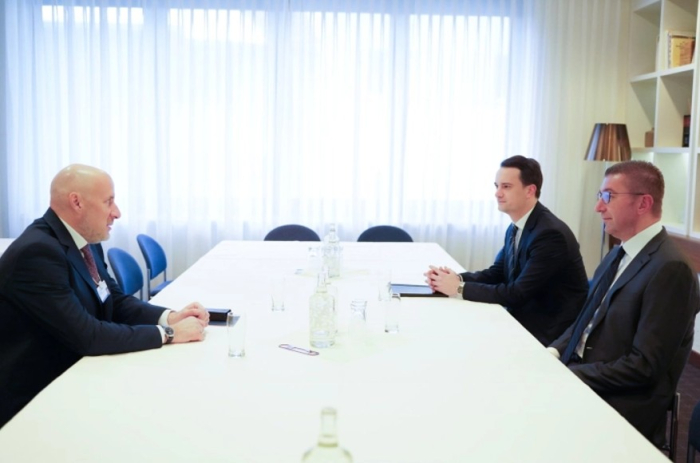 Владина делегација на форумот во Давос