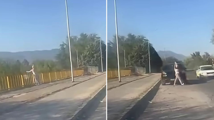 Пронајдена и казнета жената што со Порше фрлаше ѓубре во Лепенец – казнета и за непрописно паркирање