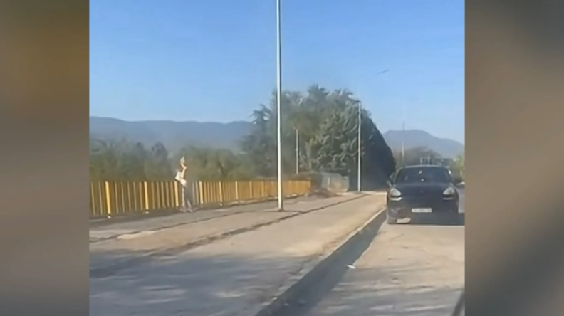МВР ја казни жената што излезе од својот автомобил да фрли ѓубре во Лепенец